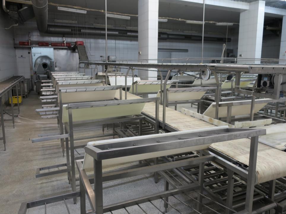 Carcasses cutting line